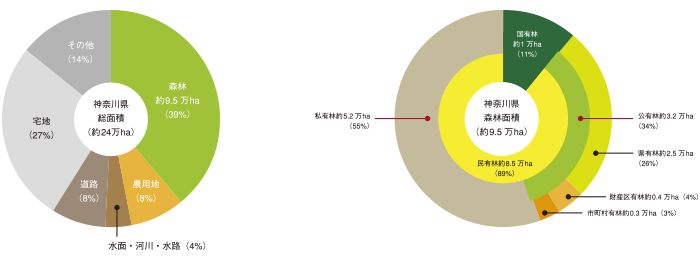 世界と日本の森林2024：気候テックと自然史、衛星利活用の可能性宙畑