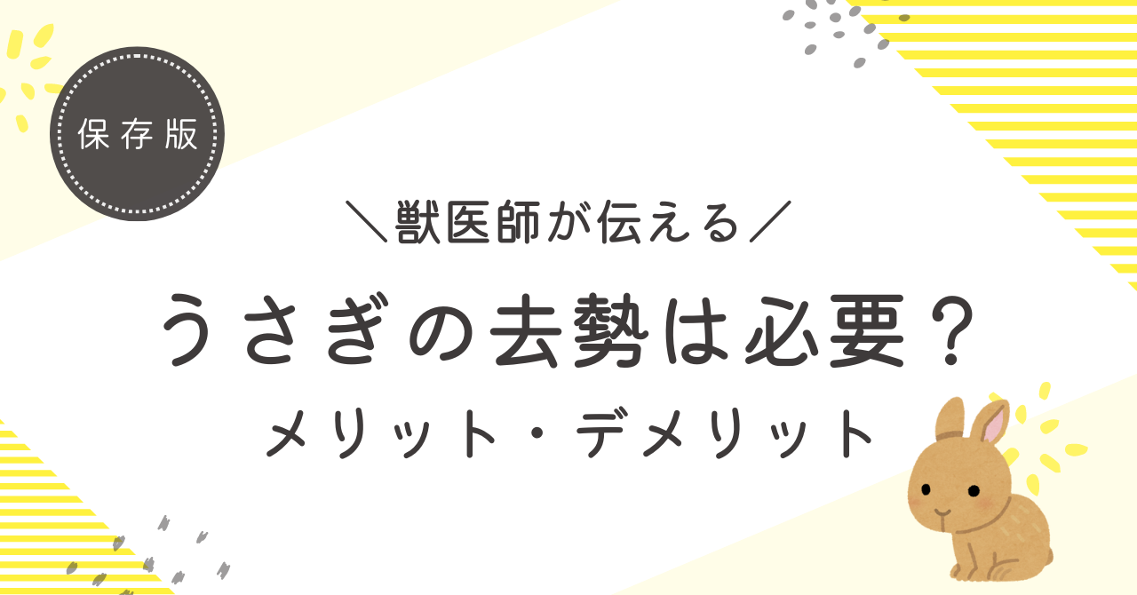 吉原夕月「春」嬢口コミ体験談・思わずガン見しちゃう爆乳！