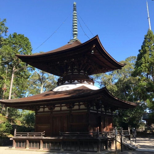 妊娠10ヶ月 胎児と母体の症状で知っておきたいことニンアカ