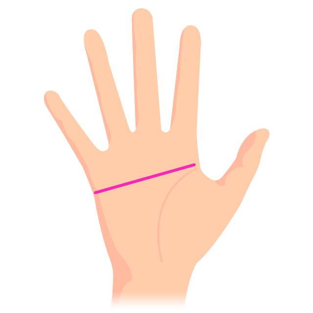 二又知能線知能線は2本だったり、途中から別の知能線が出てきたり。 先端がニ又や三又に分かれたりと、色々なケースがある。 その中で、二重知能線 の一種になる知能線の途中から別の長い知能線が枝分かれする知能線を紹介。 この二重知能線の面白いところは、それぞれ