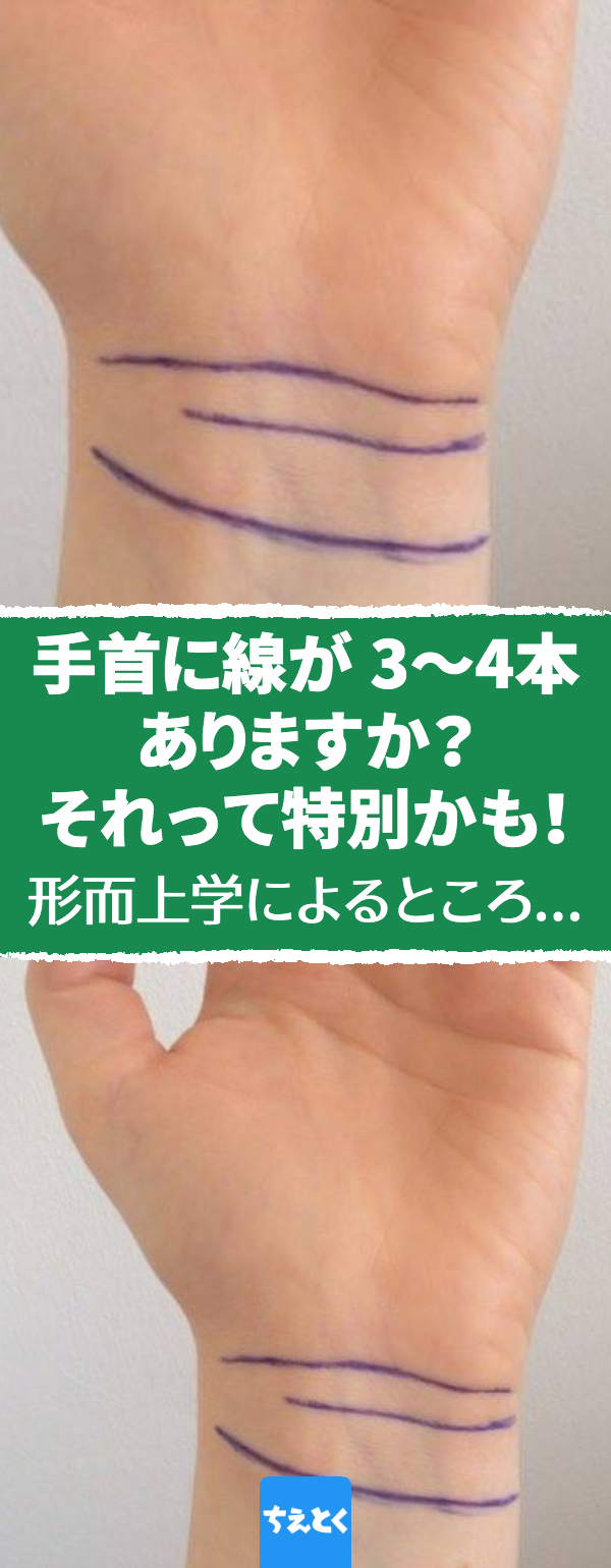 手首の線で分かる体力手相からはその人の人柄や 能力のほかに体力の強さも 読み解くことができます 手首に横に伸びる 「手首線」からは体力の強さがわかります ⚫️手首線が3本以上ある人 人一倍体力があり 強い意志を持っていて 思いやりもあり 行動力に優れます