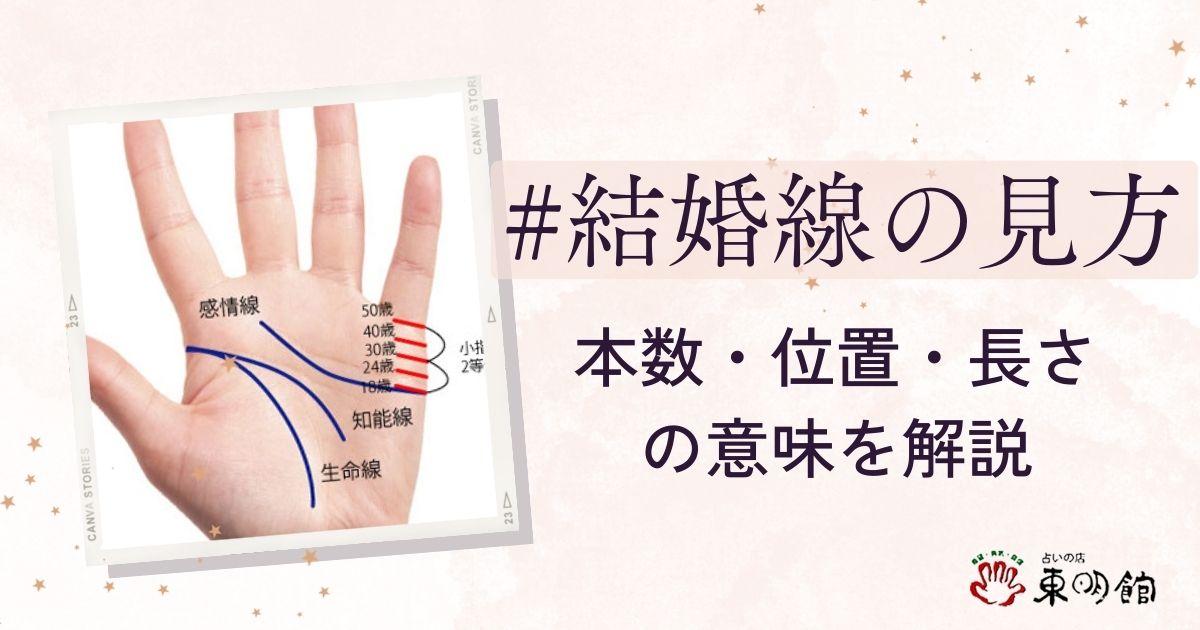 手相 知能線 枝分かれ 三本TikTok