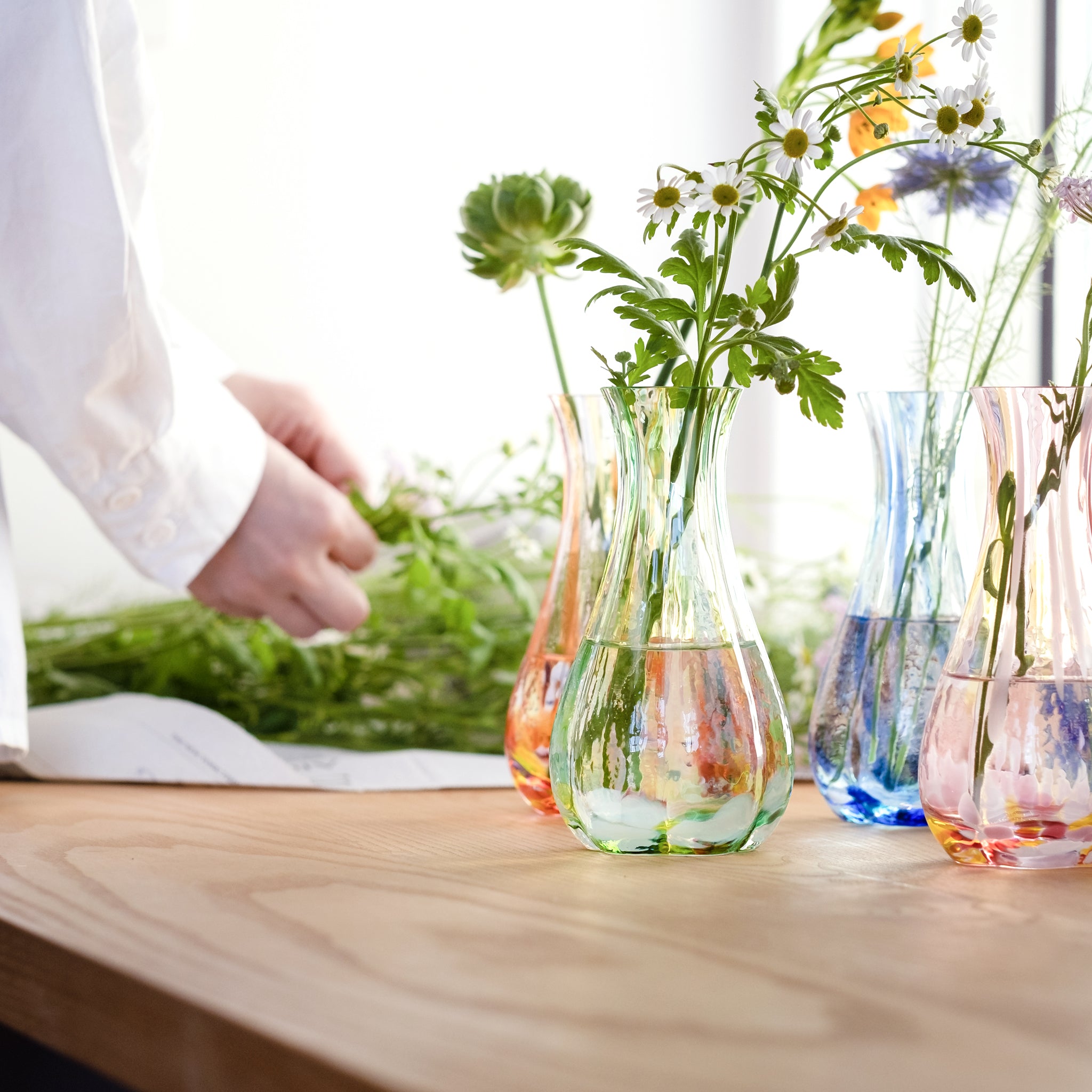 今、大人気の『水耕栽培』のおすすめは？気軽に始められる、おしゃれなおうち菜園。Hanako Web