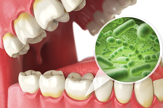 小児歯科名古屋市南区の歯医者、こぎそ歯科医院