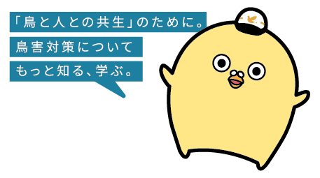 巣作り本能は人間にもあるらしいサルサSALSAダンサー 千恵ダヴィニエChie Davigne