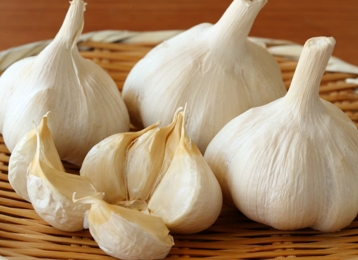 タマネギ中毒獣医師執筆 原因症状治療 名古屋救急動物病院