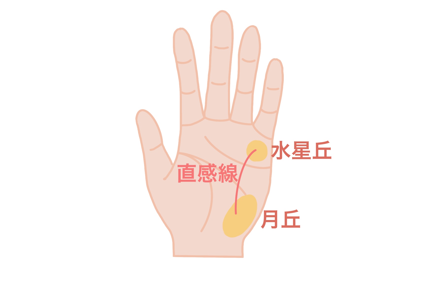 直感線 手相ヌコ神れーにゃの開運メッセージ 21- 小鳥遊陽柊 たかなしはるひ占い鑑定Room