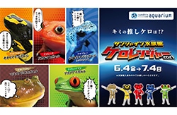 毒カエル、毒投げ矢のカエル Phyllobates Terribilisコロンビアの熱帯雨林から危険な動物。明るい黄色とオレンジ色で有毒な両生類の写真素材・画像素材 Image 67138016