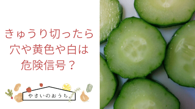 きゅうりが黄色に変色！間違った保存法でこんなことに！ちなみにまだ食べれるの？生活知恵袋