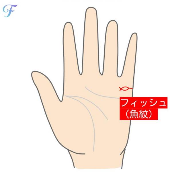 手相のフィッシュは位置で13の意味あり！幸運を強化する方法も解説