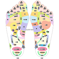 足つぼ 図解 ツボマップ 1枚 足裏 反射区 全身 一覧表 マッサージグッズ 生活習慣と戦う店ササヤ AMC 送料無料 yys : 公式天然塩あまびの生活習慣と戦う店ササヤ - 通販 - Yahoo!ショッピング