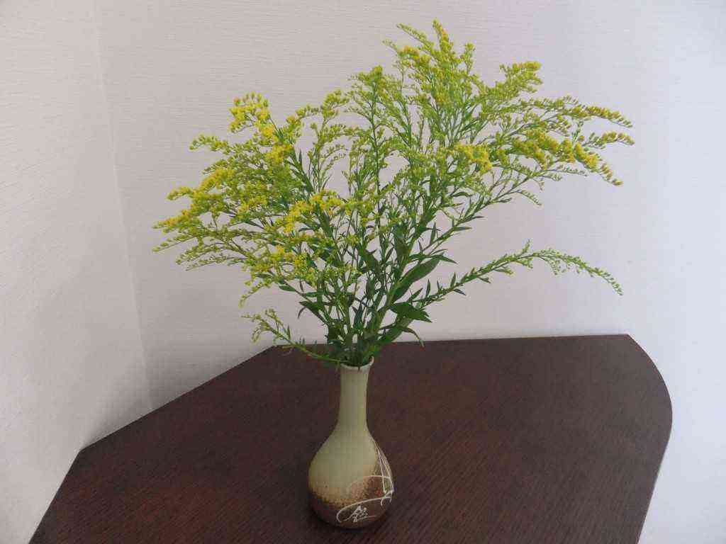 GIRLS TALK みんなが考える美しいバストって？GLITTERグリッターな人生を！ スタイルマガジン『グリッター』