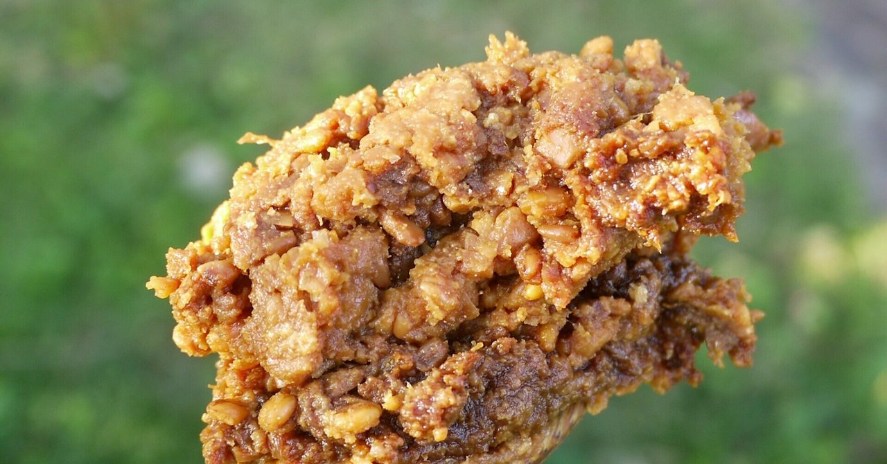 手作り味噌にカビを生えにくくする方法奥田フローラOFFICIAL BLOG「からだを発酵。こころを発幸。たましいを発光。『発幸力®』」