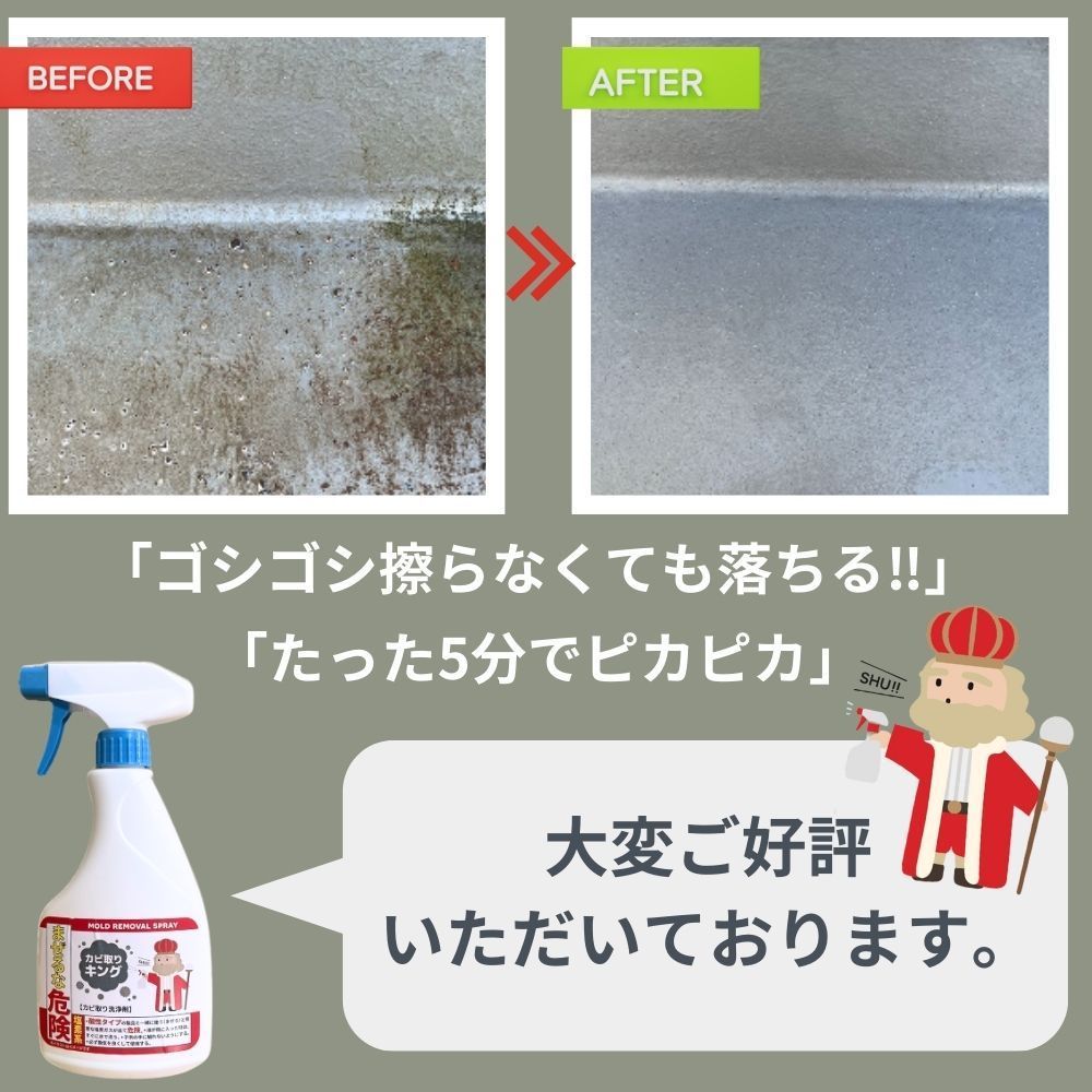 緑カビの落とし方緑カビができる原因や除去する手順は？コジカジ