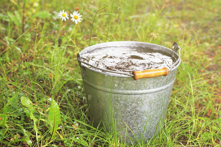 木酢液とは？効果・作り方・使い方・市販品の選び方を解説ハチお助け本舗