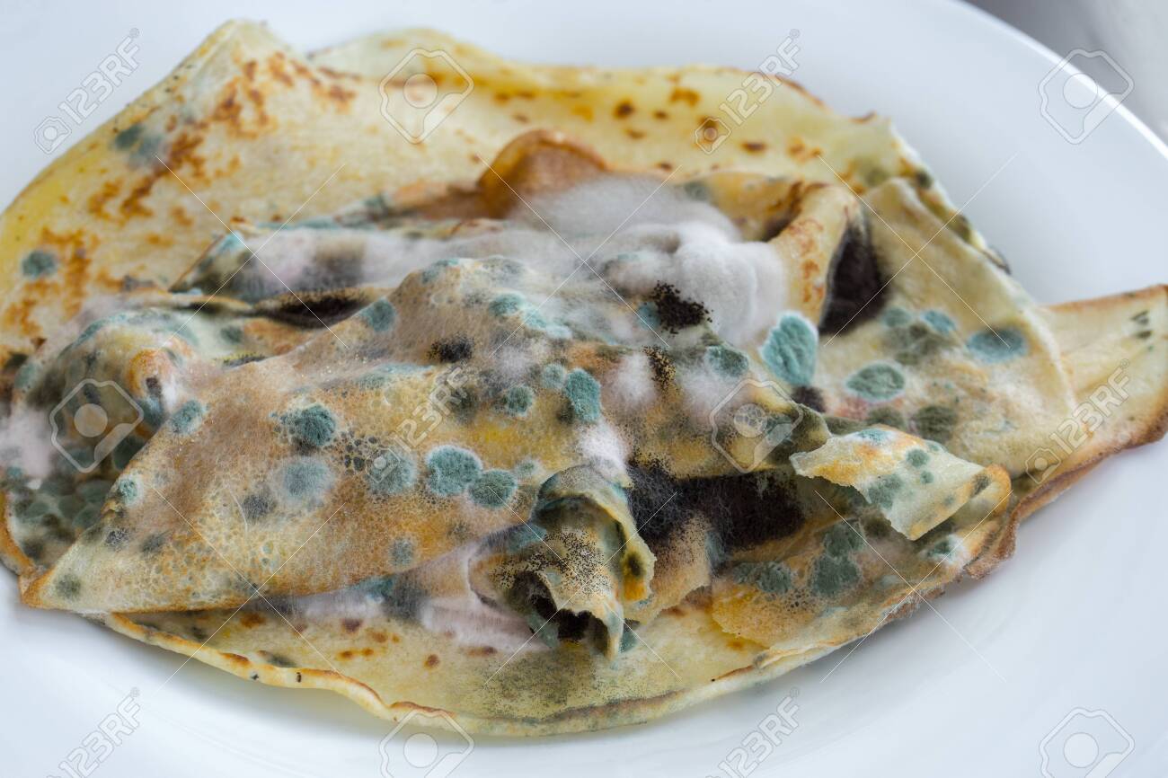 観葉植物の土に白いふわふわが出る原因と対処法を徹底解説