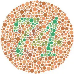 色覚異常社会医療法人三栄会 ツカザキ病院