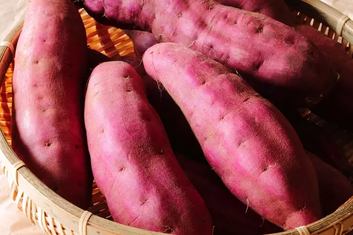 さつまいもの栄養 毎日食べるなら1日約1 3〜1 2本が最適量！太らない食べ方を管理栄養士が解説！ - くふう トクバイニュース