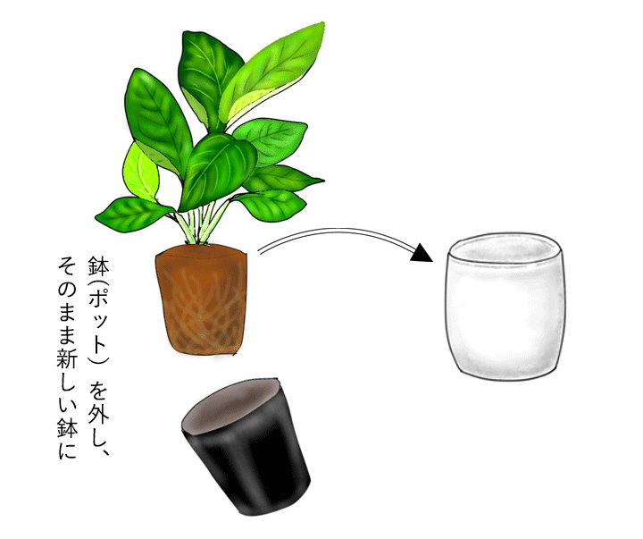 造花観葉植物におすすめの「マルチング材」紹介！ - はなどんやマガジン