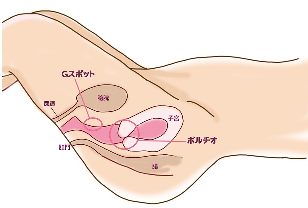 ヤリチンによる解説】男を早漏にさせる気持ちいいまんこ10選と遅漏にさせる残念まんこの違いを解説！ | Trip-Partner[トリップパートナー]