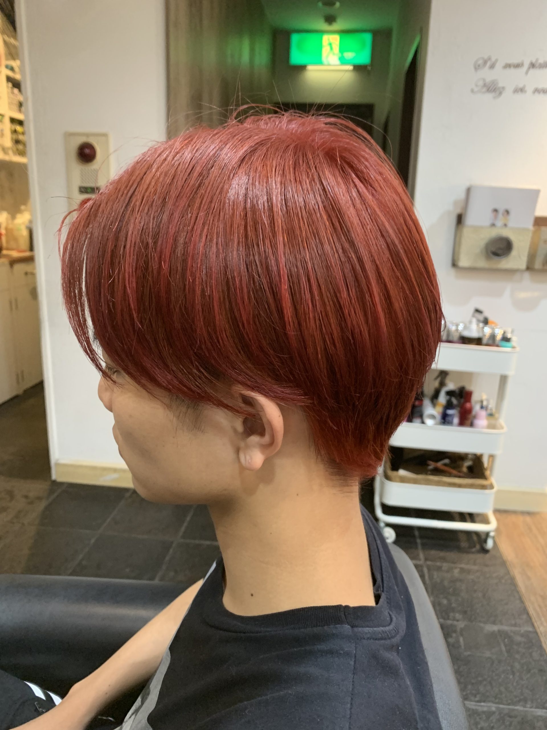 髪色図鑑 ピンクレッドってどんな髪色？厳選ヘアカタログ23選を