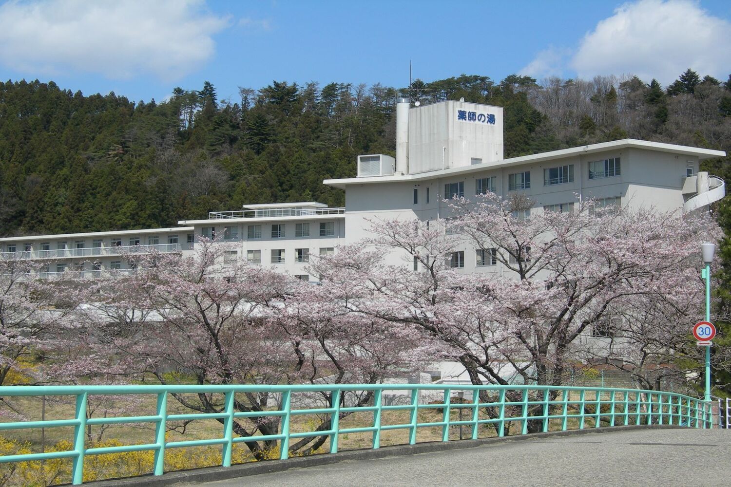 本日のお造りです。一泊目と滞在のお客様のお造りになります。白身は矢柄 ヤガラ です。よろしくお願いします。温泉 白石市 白石温泉 白石温泉薬師の湯ヤガラ ハモマグロ 手打ち蕎麦 ぜひお待ちしております