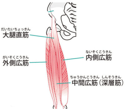 膝のたるみをとる方法1日5分のマッサージでたるみ解消！フットケアAll About