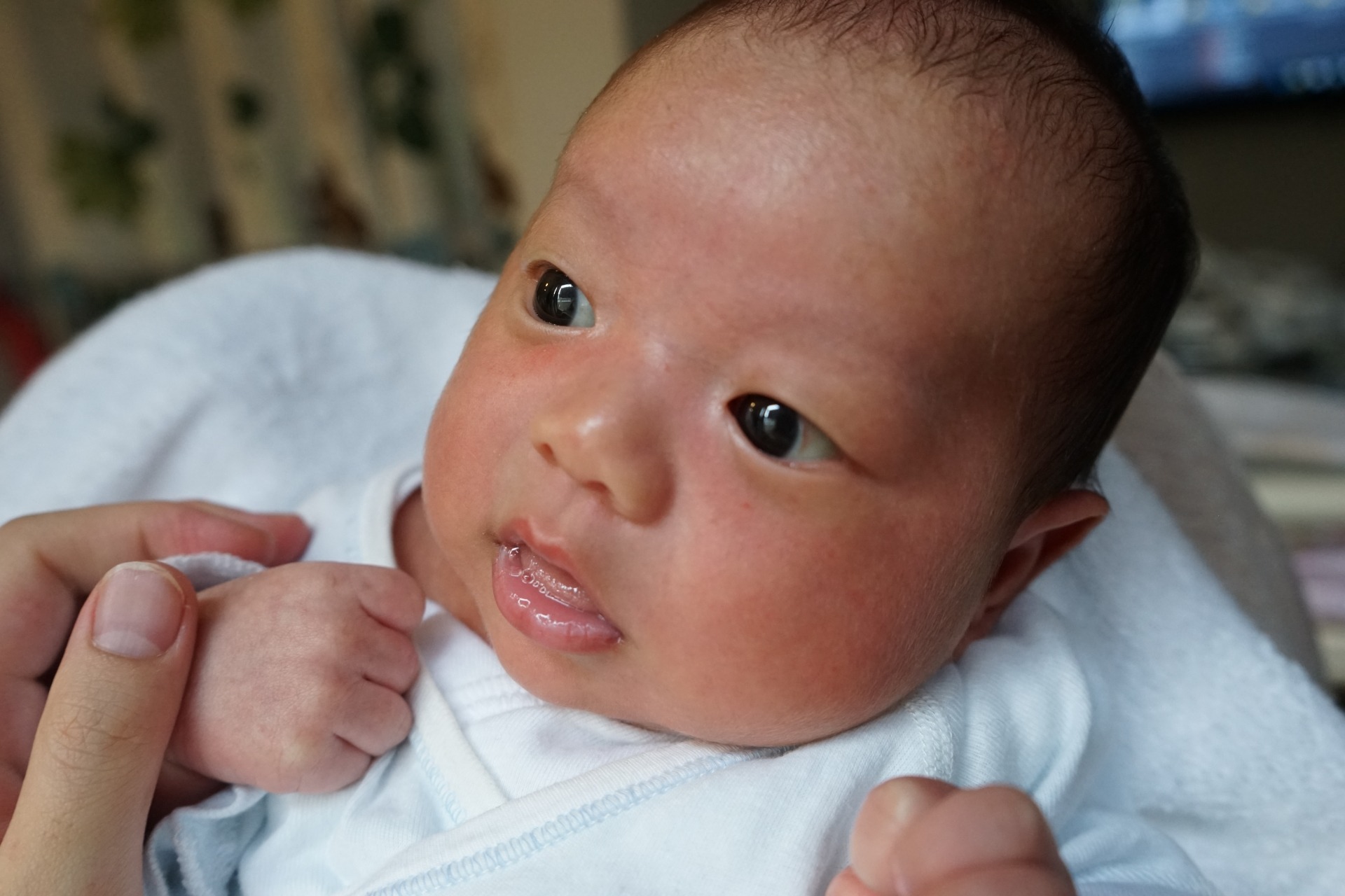 赤ちゃんの肌荒れ」知っておきたい予防と対処法まるわかり！公式 ALOBABY アロベビー