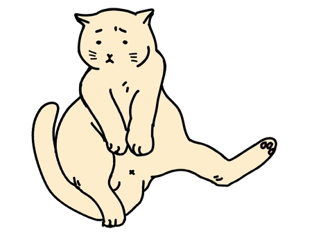 🐾キュートな「スコ座り」。関節の痛みでこのような姿勢をとっていること知ってましたか？🐾 こんにちは、アニドネです。日本で人気の高いスコティッシュフォールドがする「スコ座り」。 関節の痛みでこのような姿勢をとっていること知ってましたか？ -————————— 正解は