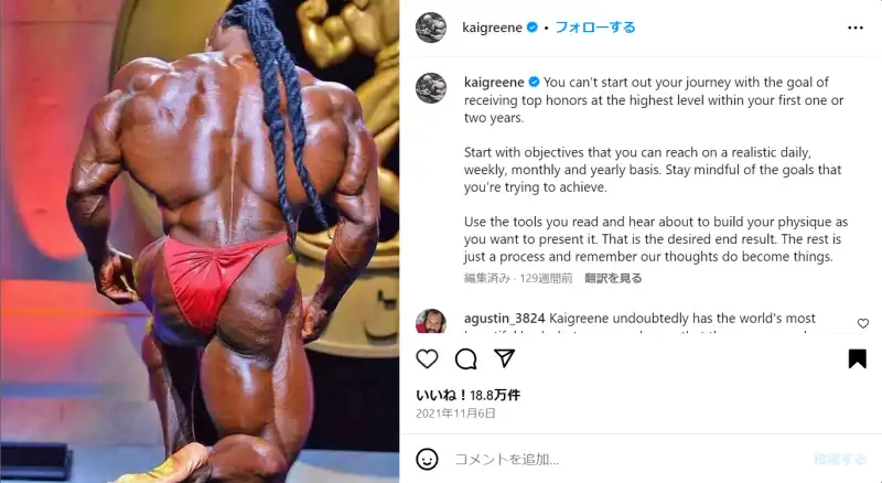 カイグリーン ボディビルダー- ナムウィキ