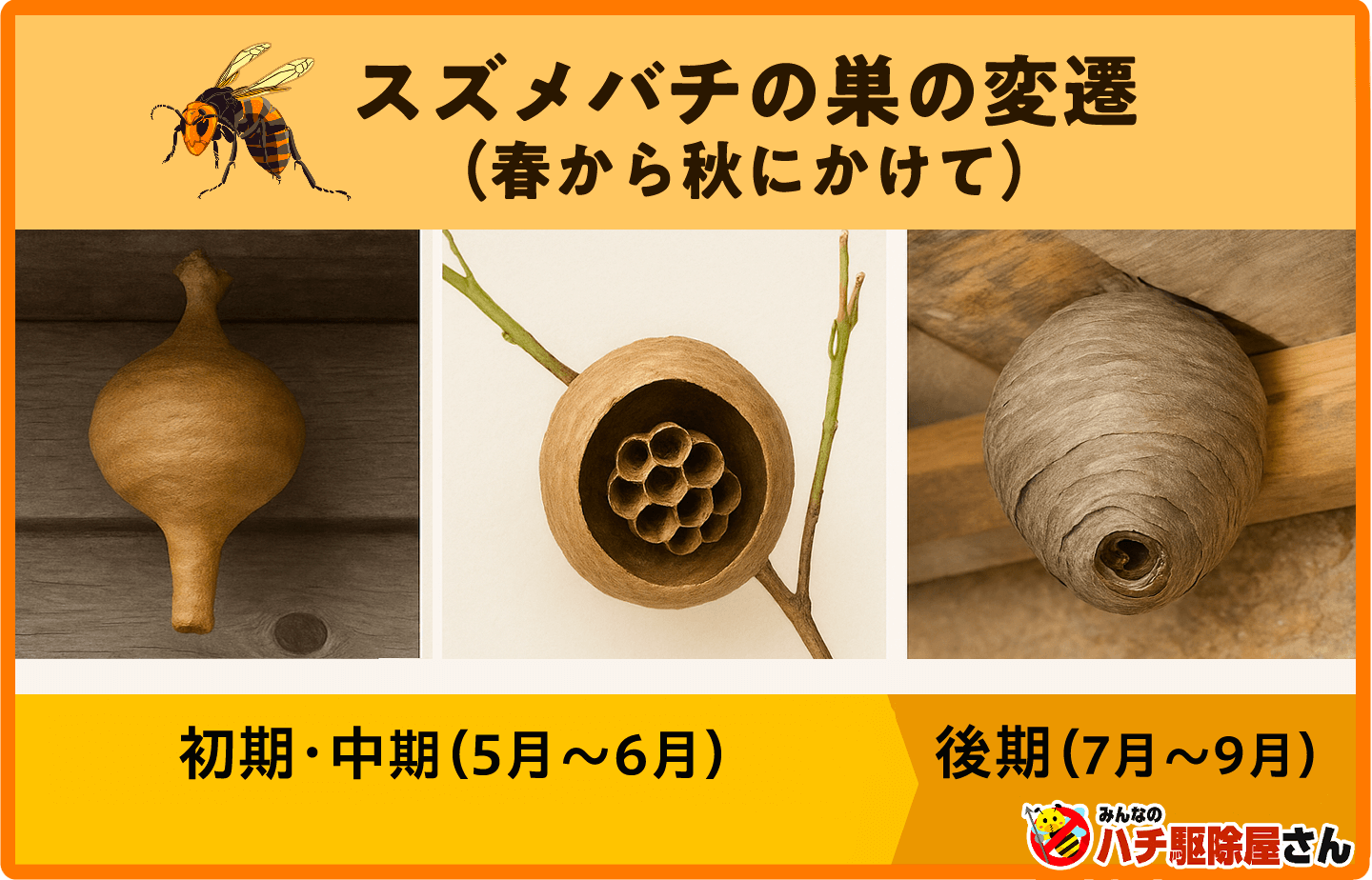 小さい蜂の巣をカンペキに駆除する方法 巣の大きさを写真でチェック蜂バトル