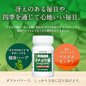 リプサ本店イチョウ葉＋DHA＋EPA粒 約1か月分 T-600 サプリメント専門店 Lipusa -リプサ