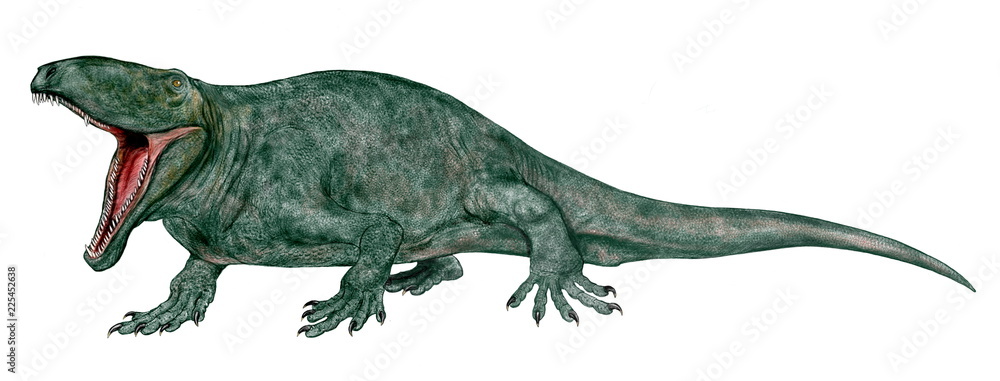 ゆっくりがもっと恐竜を解説すんよ～第十二回前編：ディメトロドンの分類