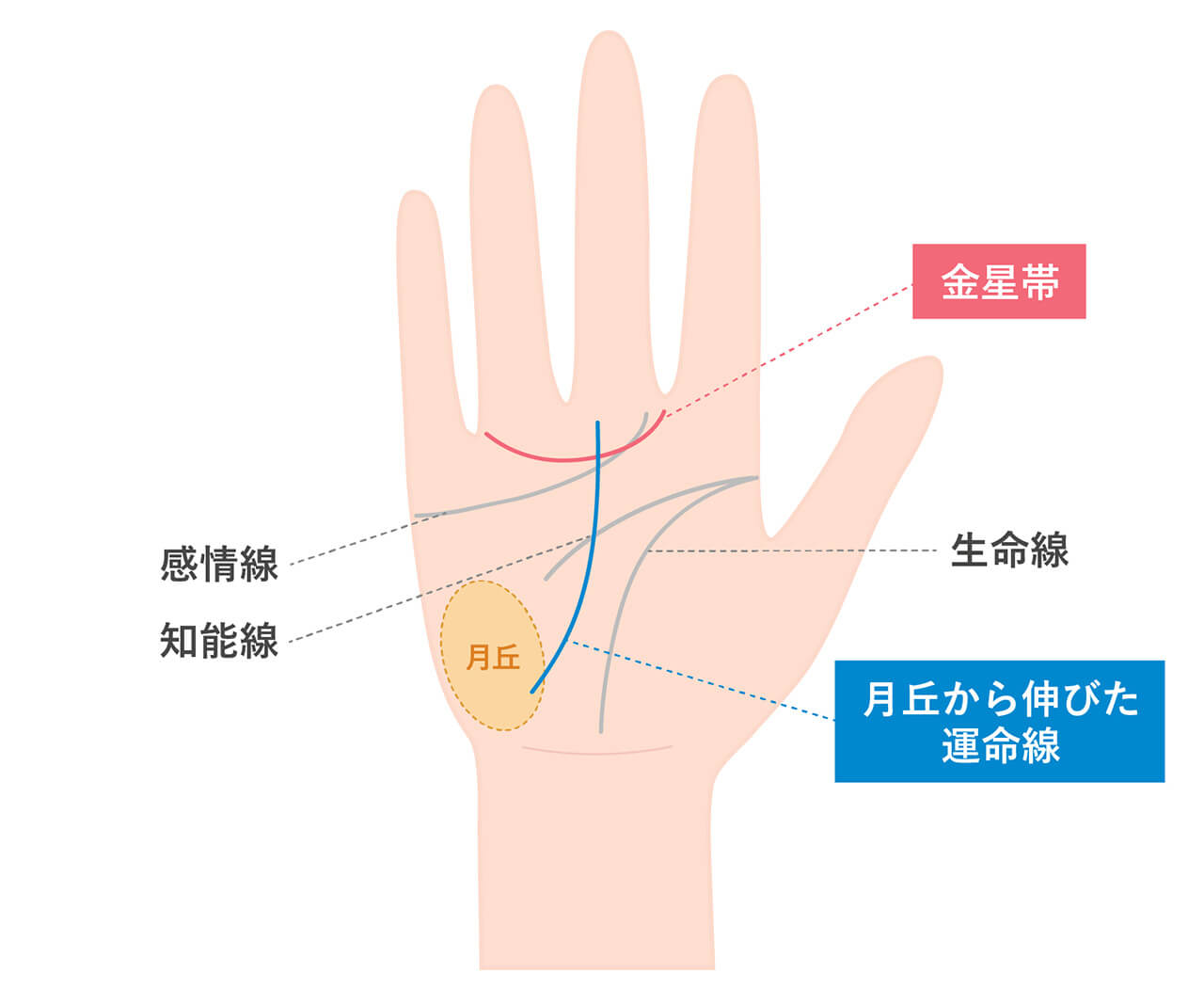 月丘の解説：精神性と直感力を象徴する丘の特徴と発達方法手相の見方ここにあり！運命を変える実践的な読み方とアドバイス