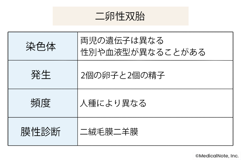 一絨毛膜一羊膜 MMツイン の妊娠出産記録ナノハナノヒ