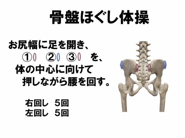 腰骨 出っ張り 名前 ってあるの？ - 姿勢・動作改善 カイラックス