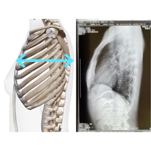 厚い胸板を作り上げる最強ガイド！効果的なトレーニングと食事法QITANO ® 北野カラダづくりラボ
