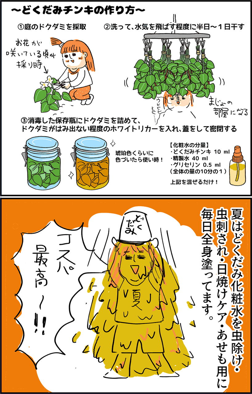 🌱ドクダミ化粧水🌱, 作り方はほんとにシンプル, たった、二つの材料で樽一個分くらい化粧水できちゃう！笑, ドクダミは生命力が本当に強い。,私たちの庭でもそこらかしこに生えまくってる😂💚, そんな力を自分たちの肌のために使えてしまう, ワクワクする化粧水🧴,今がちょうど旬なので、みんなで自然スキンケアしよ👌