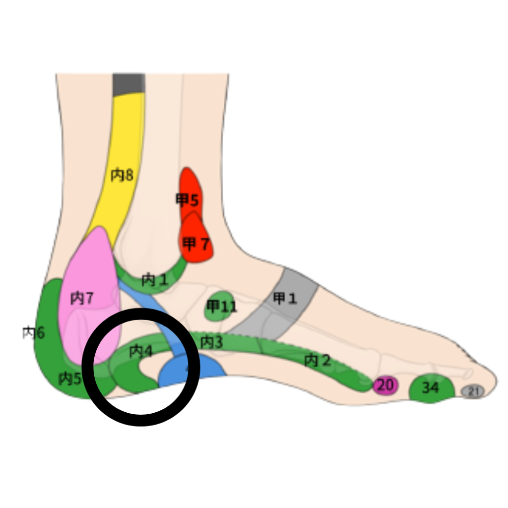 足裏のツボでおなかスッキリ！今すぐできる足裏マッサージBifiXヨーグルトマガジンBifiX ビフィックス ヨーグルト江崎グリコ