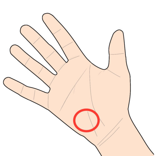 手相に星「スター線」があると幸運！宝くじが当たるって本当！？ – バランガンメディア