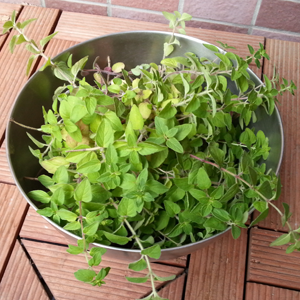 バジルとオレガノの簡単ジェノベーゼ風パスタ