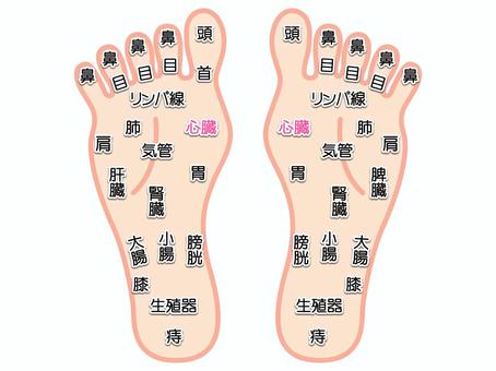 足の甲の反射区・足つぼ 図解イラストのイラスト素材89105574- PIXTA