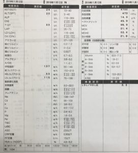 糖質制限中は「脂質」も気にするべきなのか