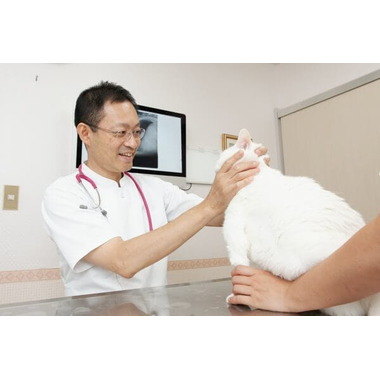 動物の足跡と口ひげの動物病院用診察券デザインG14動物病院タイプ診察券ドットコム