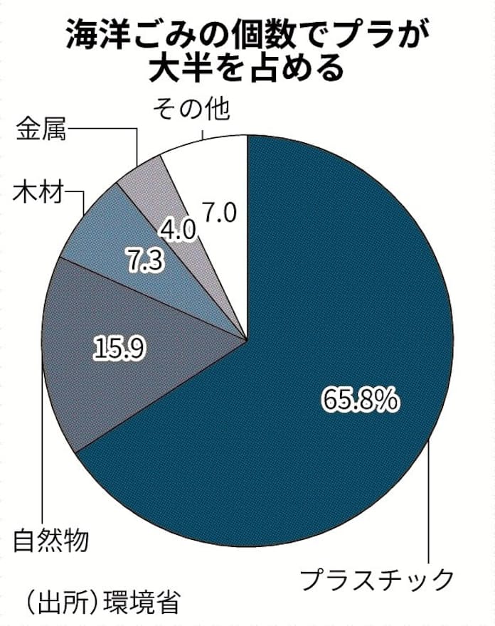 タイムリミットはあと10年？ 深刻な海洋のマイクロプラスチック汚染に目を向けよう – HATCH 自然電力のメディア