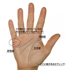 一番わかりやすい はじめての手相占い - 株式会社日本文芸社