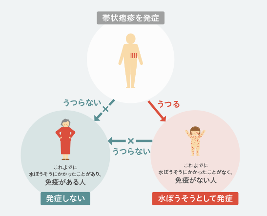 耳介後部の皮疹は播種性帯状疱疹？ 隔離すべき？：Cadetto.jp