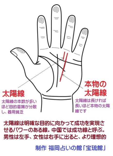 手相占い 太陽線で金持ちになるか分かる！線が長いと支持が得られる手相無料占い Picora