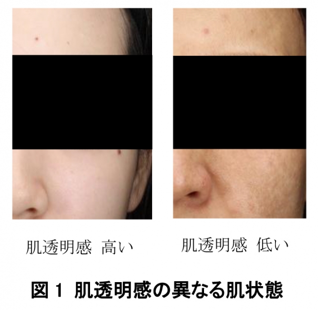 透明感のある肌とは？くすみ肌を防いで肌のみずみずしさを保つ6つのスキンケア方法お役立ちコラム基礎化粧品ドモホルンリンクル