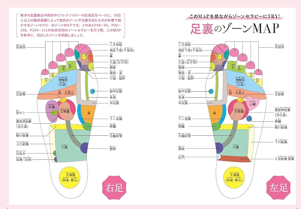 楽天市場 足つぼ 図 側面の通販